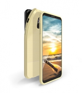 Pouzdro Back Case Dux Ducis Mojo iPhone X, XS, zlatá